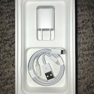 Apple 6, 7, or 8 charger and adapter.